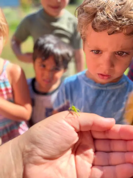 Insects, Bugs and Creepy Crawlies