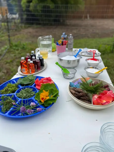 Nature Potions